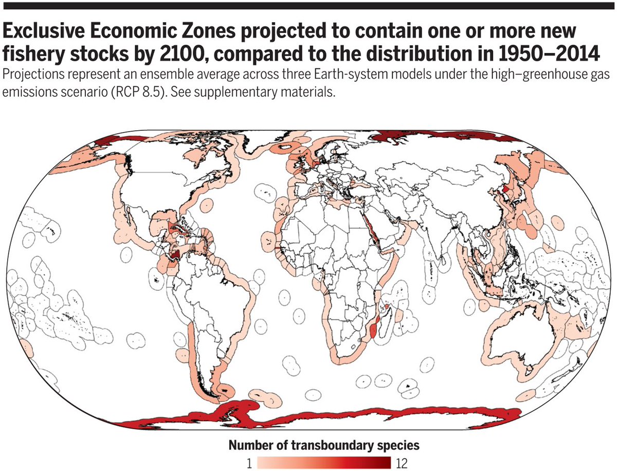 ScienceMagazine's tweet photo. Climate change is sending fish on the move—which could be serious trouble for fisheries around the world. This week's Policy Forum: ($) https://t.co/OFkNWkiq1P https://t.co/XzyWsxFhdt