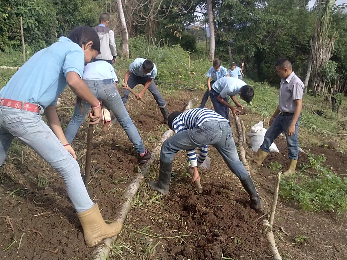 tamayo_etan's tweet photo. Desde Barinas a paso deVencedores ConUna #PedagogíaProductivaRobinsoniana @JauaMiranda @Nancyor7 @eugeniapinero @solesole27 @lafuerzadchavez https://t.co/kwQVyNLdc8