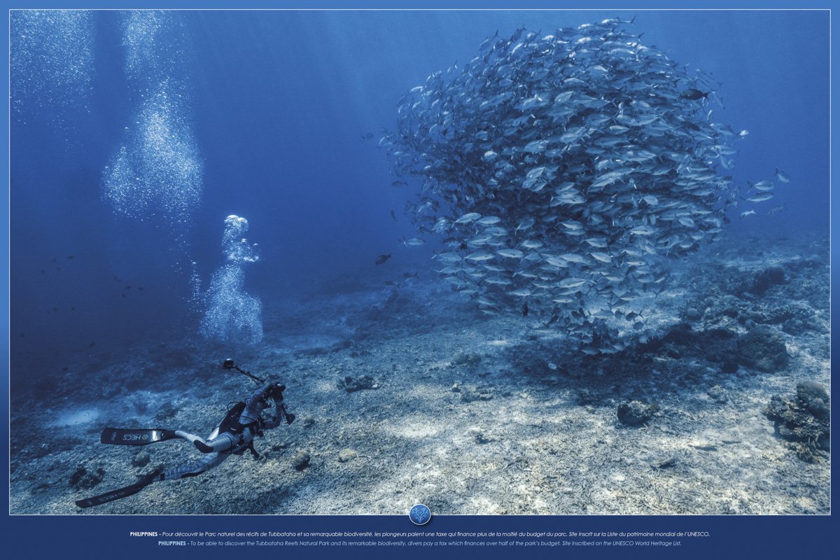 FotoWeekDC's tweet image. “See Change: Climate in National Parks” exhibition on June 26  Register today to see the visual story.  #SeeChangeUSEU #ClimaDiplo goo.gl/HAebpZ photos by ALEXIS ROSENFELD @EUintheUS