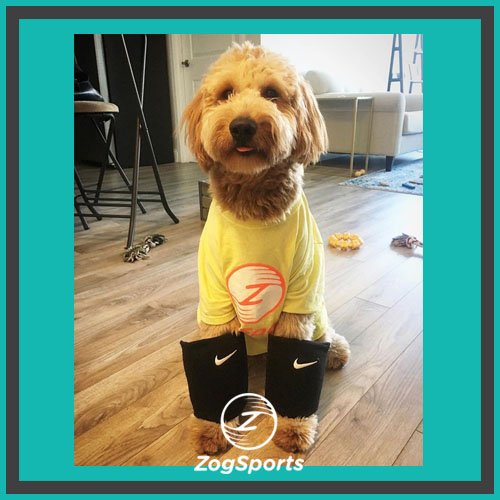 ZogSportsLA's tweet photo. Come at me, Monday. I'm ready for you. https://t.co/hpbt3Y2BUv