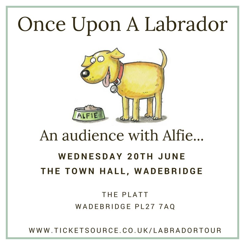 alfiewdog's tweet photo. On the 20th June we'll be in the centre of #Wadebridge at The Town Hall to have a sniff about! Tickets: https://t.co/hfcVncAb1b https://t.co/qDruOVnjyS