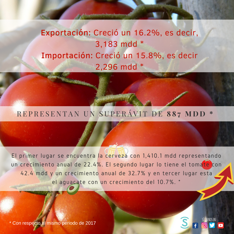 bisneMX's tweet photo. ¿Quieres saber el incremento de las exportaciones e importaciones agroalimentarias de México en el primer cuatrimestre? Toda la info aquí: https://t.co/T32TCpjz7k