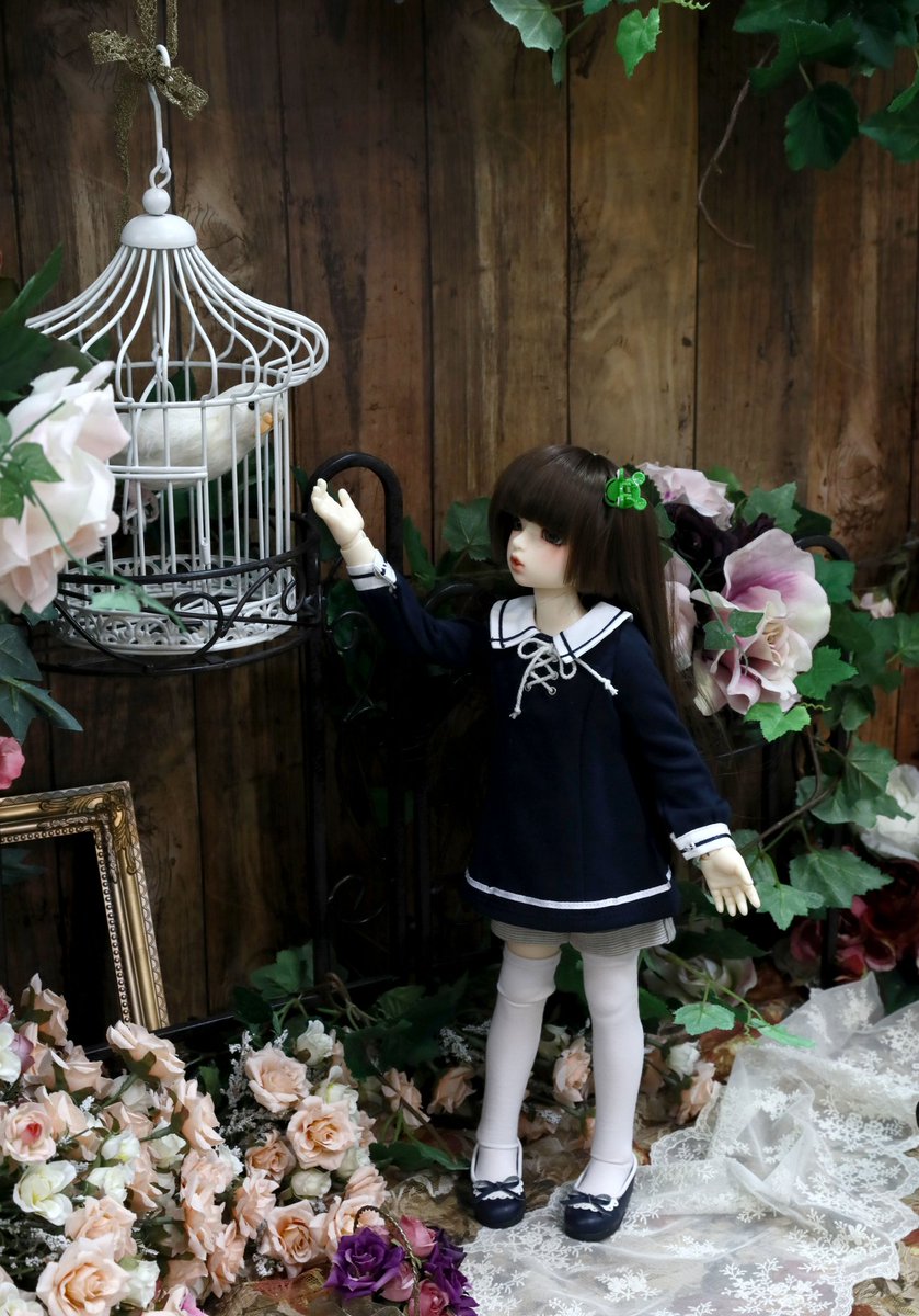 osara55's tweet photo. まこちゃん、すみか船橋ららぽーと撮影📷
#うちのこかわいい 
#スーパードルフィー 
#SDMまこ 
#eos5mark4 https://t.co/fyGPGptWci