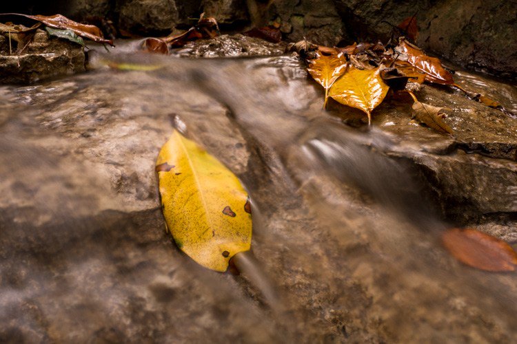 Bart photography tweet media