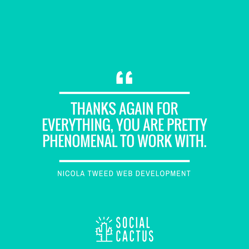 Social Cactus tweet media