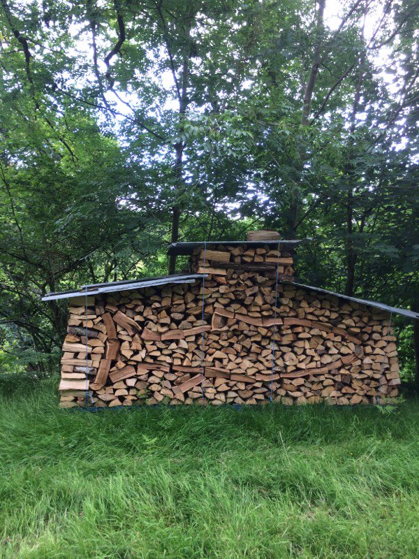 Well our Kiwi tenant Rowan has pulled it out of the bag again... This is a masterpiece. Clever chap. #logpile #winterlogs #art #woodmanagement #glanusk