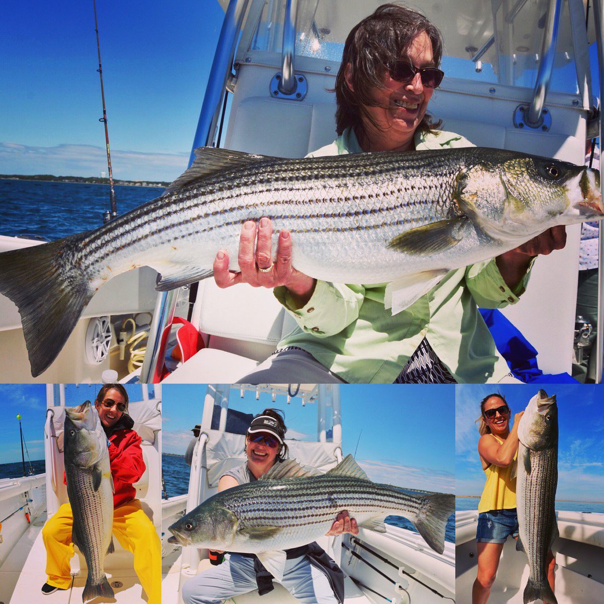 fishreeldeal's tweet photo. Lady anglers of Reel Deal are showing how it’s done!! 🎣 Awesome recent catches on light tackle off outer Cape Cod. Don’t miss the fun and call today! 👩🏻💪🏻🐟 @GrundensUSA @daddymaclures @GooseHummock @VanStaalFishing @CortlandLine https://t.co/ehqvpGMKGN