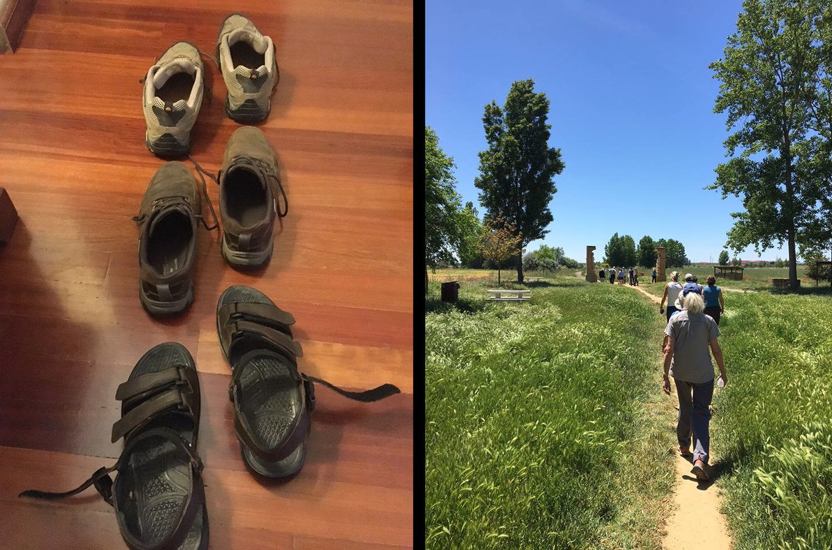 Bishop Eugene Taylor Sutton tweet media