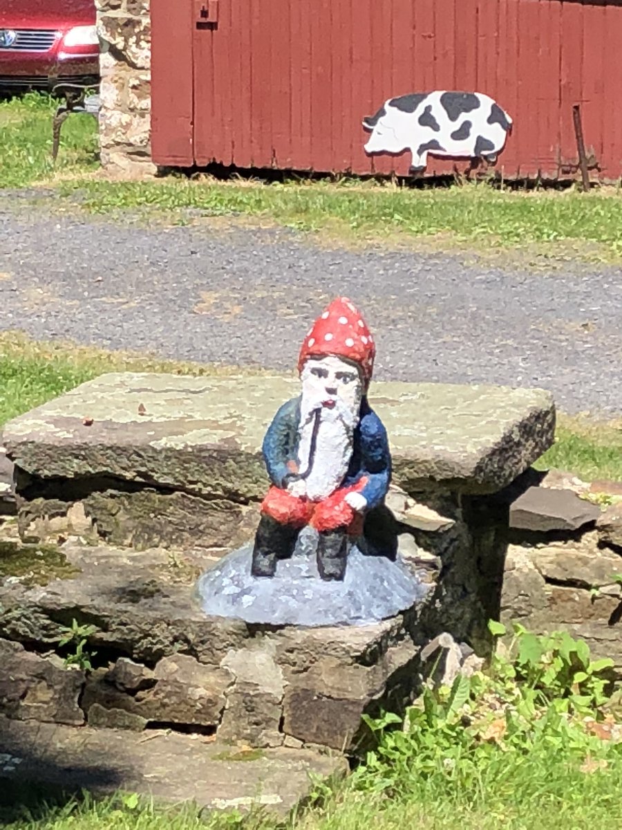 tsalk's tweet photo. Gnome @GraemePark1722 - might also be of interest to @ItsGrahamParker a known gnome fan. Discovering #HorshamPA https://t.co/LMTjGpwmQy