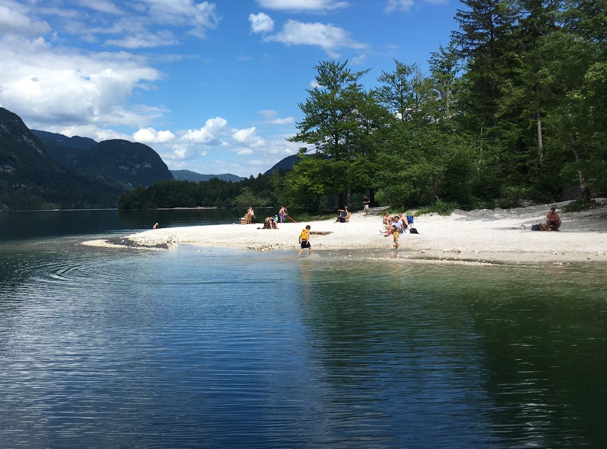 Anne Gorringe tweet media