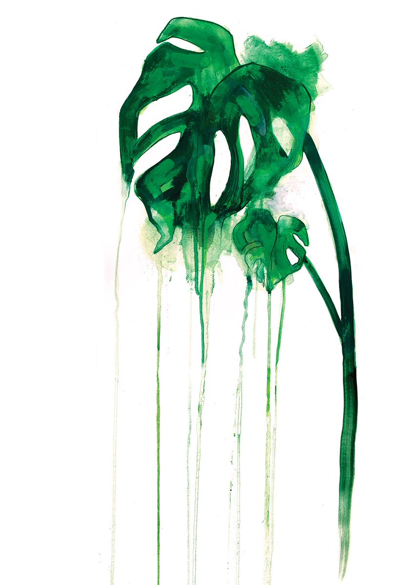 gavdob's tweet photo. Cheese Plant printed @printclublondon 
#art #plant #botanical https://t.co/MOpPEaUlTv