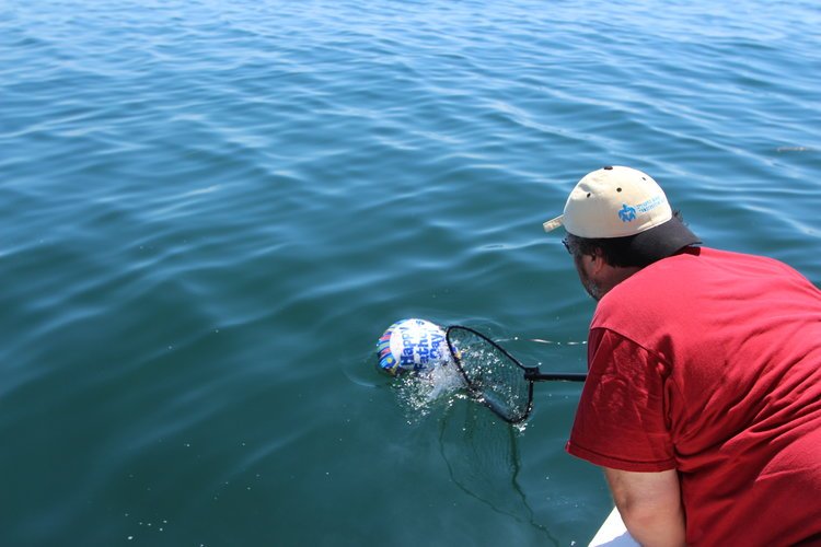NYSDEC's tweet photo. Balloons are a common type of #MarineDebris that end up in the ocean, harm wildlife, and litter beaches. Please think twice before you release balloons – “what goes up, must come down”. 

#PollutionSollutions #PlanetOrPlastic #CelebrateOceansNY https://t.co/sG4QxDKvWe