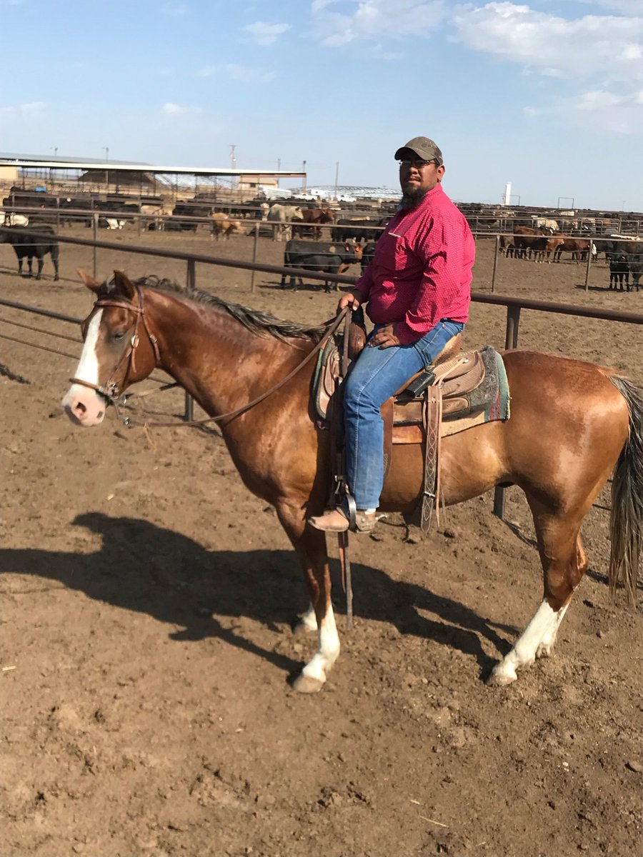TPSwisher's tweet photo. My pen riding partner for the weekend Fernando Cruz wins the prize Outstanding Attitude we appreciate that at Swisher #FrionaBeef #cattletales #stockman https://t.co/lwcoqm5tAM