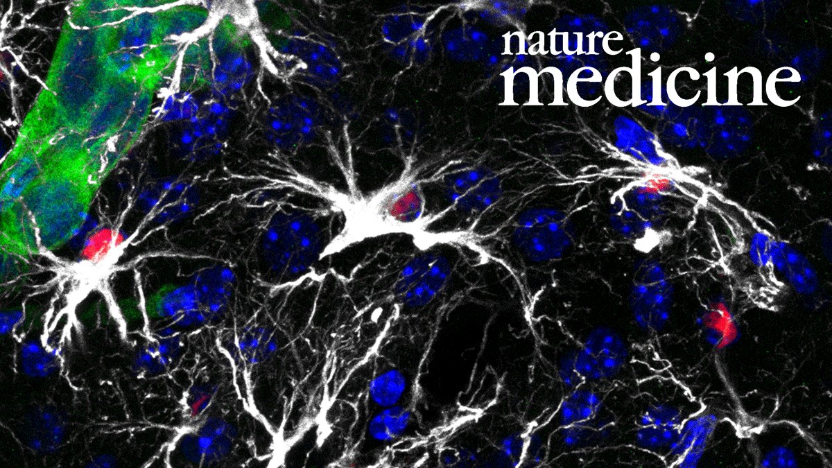 MindtheByte's tweet photo. A #NewTherapy proves effective against #BrainMetastasis, with the participation of @MindtheByte. More info ➡️ https://t.co/3zwcGkVUv2 https://t.co/p3b2DQKVuG