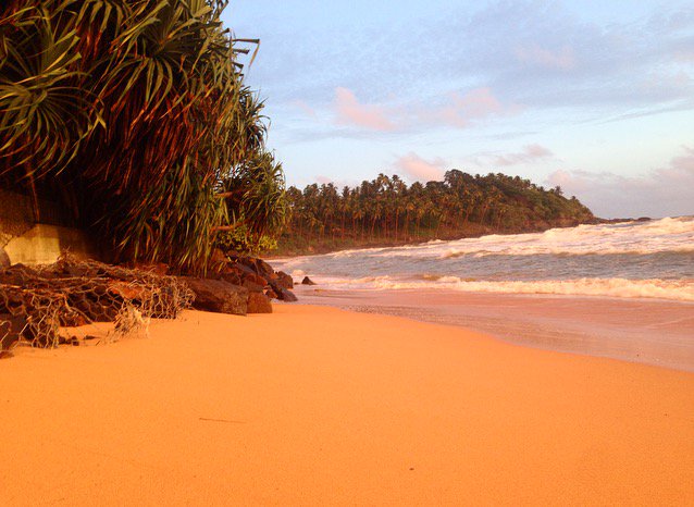LegoHeadTravel's tweet photo. Kosgoda, Sri Lanka. I do love a white sand beach. Something more mesmorising about the orange sand and wild waters... 
.
.
.
#SriLanka #Sea #beach #surf #nature #wild #WorldOceansDay #beauty #Vacations #backpack #travel #travelblog #orange #resort #backpacking #Asia https://t.co/JhEB5CjPJJ