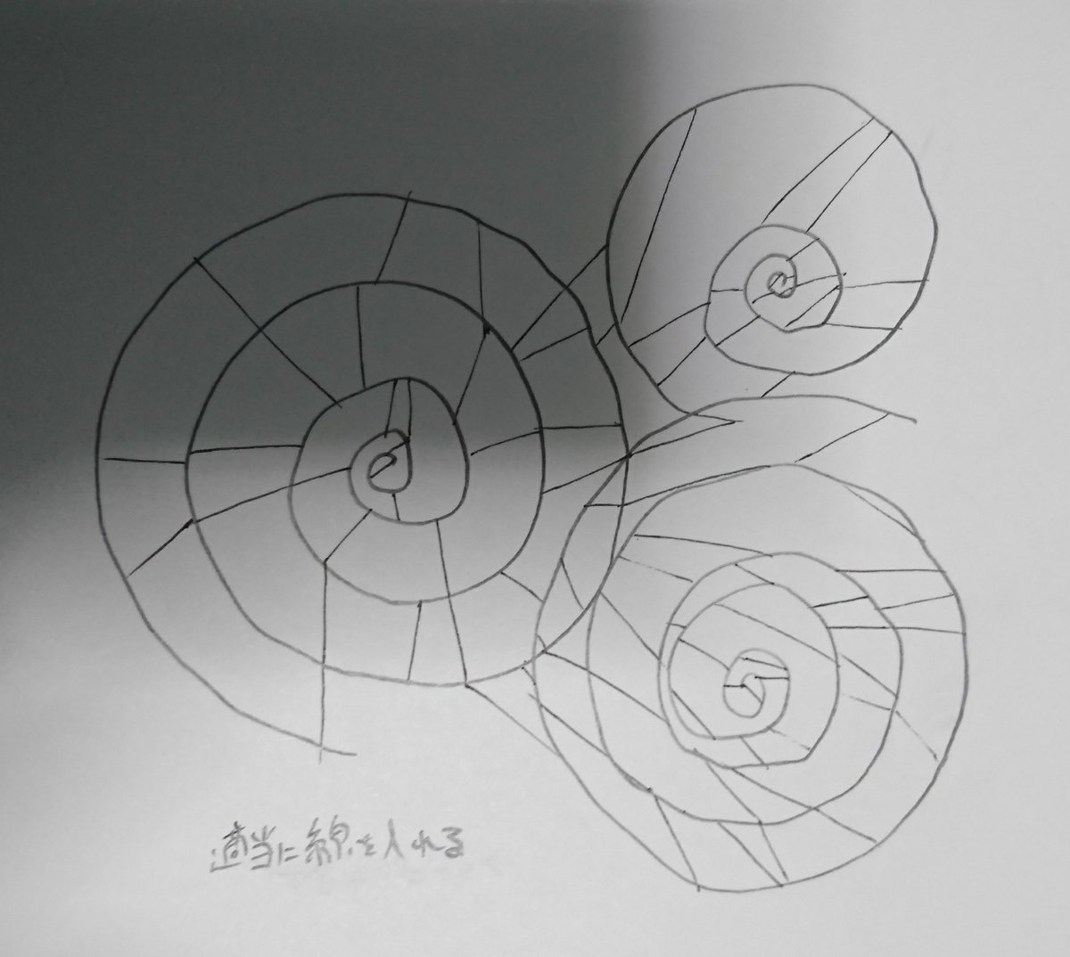 割れ目とか描くときにうずまきを目安にしても楽しいかも 