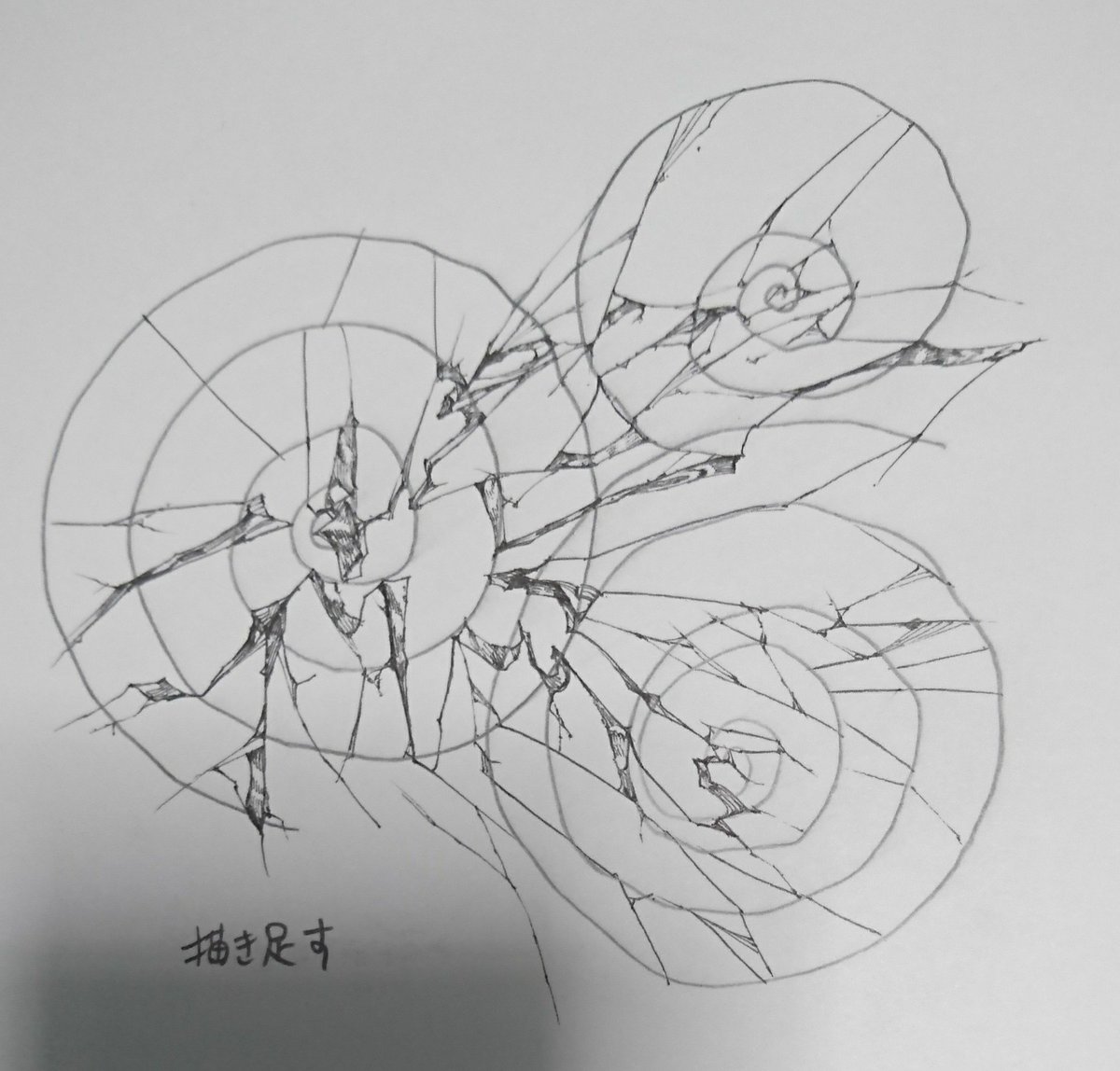 割れ目とか描くときにうずまきを目安にしても楽しいかも 