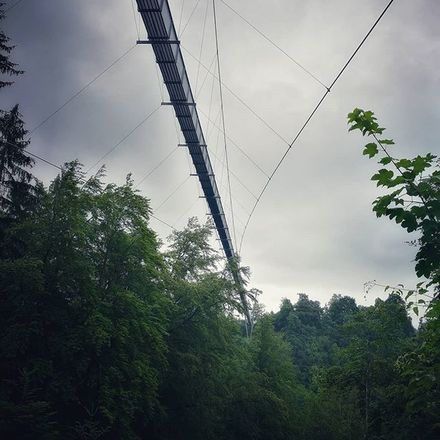 Todays tour over the  rope bridge in Sigriswil😍 
#kalokmortalis 
#ropebridge 
#berneseoberland 
#iloveswitzerland 
#inlovewithswitzerland 
#bestofswitzerland 
#bridge
#hängebrücke 
#sigriswil 
#naturelovers
#outdoors 
#raining
#outdoorslovers
#forest… ift.tt/2t5o5u3