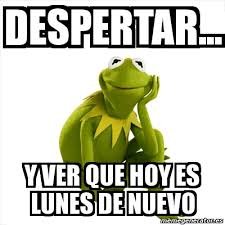 isarodriguez879's tweet photo. #FelizLunes https://t.co/f9imubs1vy