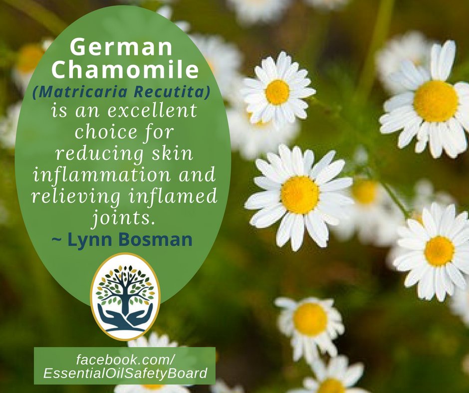 EOsafetyboard's tweet photo. #aromatherapy courses
https://t.co/ArUcKsD1Ol https://t.co/ii15bpyVnW