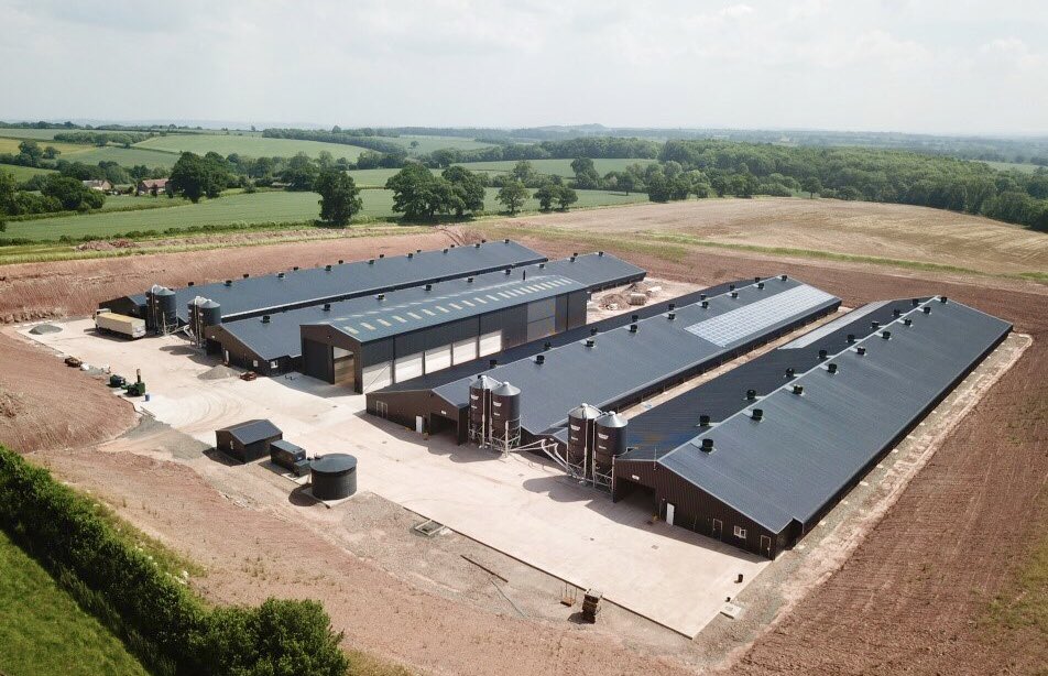 MoxonBrian's tweet photo. Birds in at Stephen and Ed’s farm and two days ahead of target. Full @jfmckennaltd supply with @fancombv vent and complete control, @choretime split Konavi feeding system, @CollinsonAgri @HATO_lighting . Working with @Powell_Ltd @Knightsconcrete @RMWElec in the best way. Top job. https://t.co/Uz4ZepNKD4