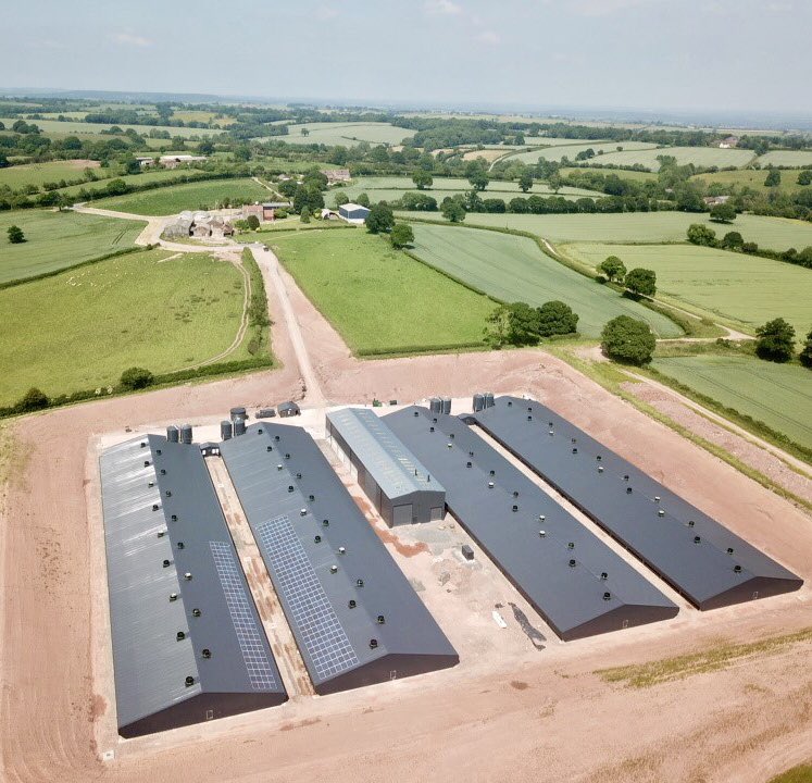 MoxonBrian's tweet photo. Birds in at Stephen and Ed’s farm and two days ahead of target. Full @jfmckennaltd supply with @fancombv vent and complete control, @choretime split Konavi feeding system, @CollinsonAgri @HATO_lighting . Working with @Powell_Ltd @Knightsconcrete @RMWElec in the best way. Top job. https://t.co/Uz4ZepNKD4
