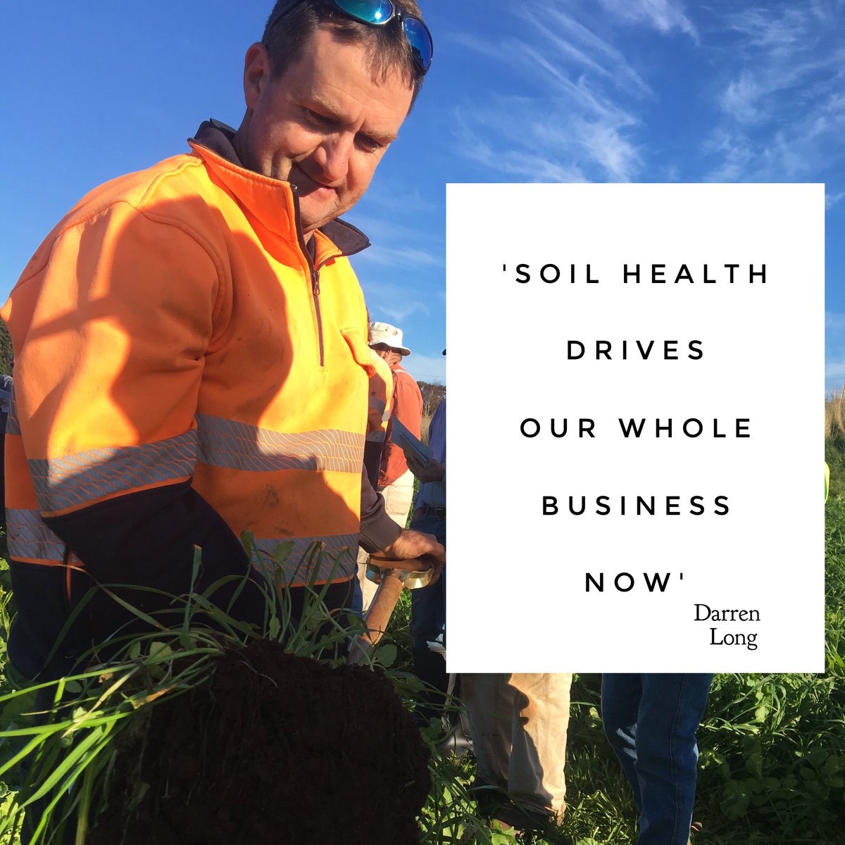 Robin Tait tweet media