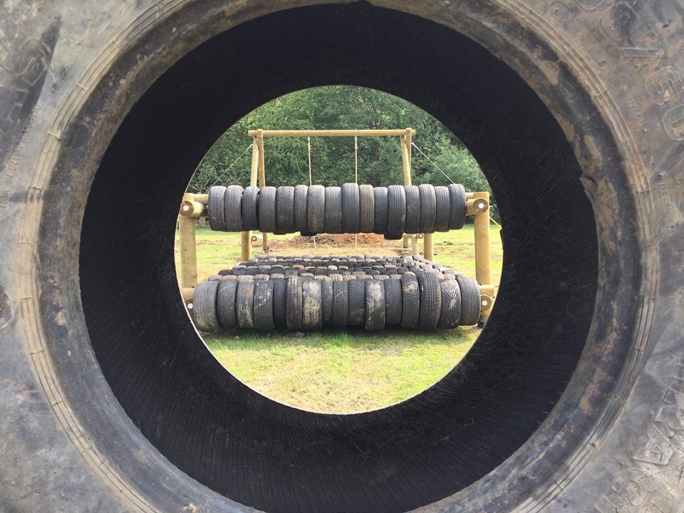 Wide Horizons tweet media