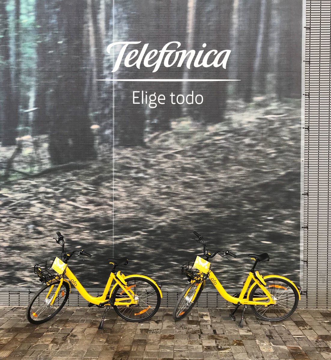 yayel's tweet photo. #aDistritoenBici es el nombre de la iniciativa organizada por empleados de Telefónica para ir en bici a la oficina. ¡Gracias, @Telefonica por impulsarla!
https://t.co/8zZOXZZYMg https://t.co/IIjjq6gIXf