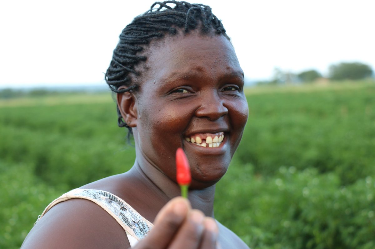 mafecastroo's tweet photo. Commitment is key 🔑 to ensure that the paths to employment/income generation remain after projects end. @acdivoca links women to markets so they are able to participate in value chains for the long run, ensuring sustainable development #Gender360 @gender_jenn https://t.co/qt3EJv8GNs