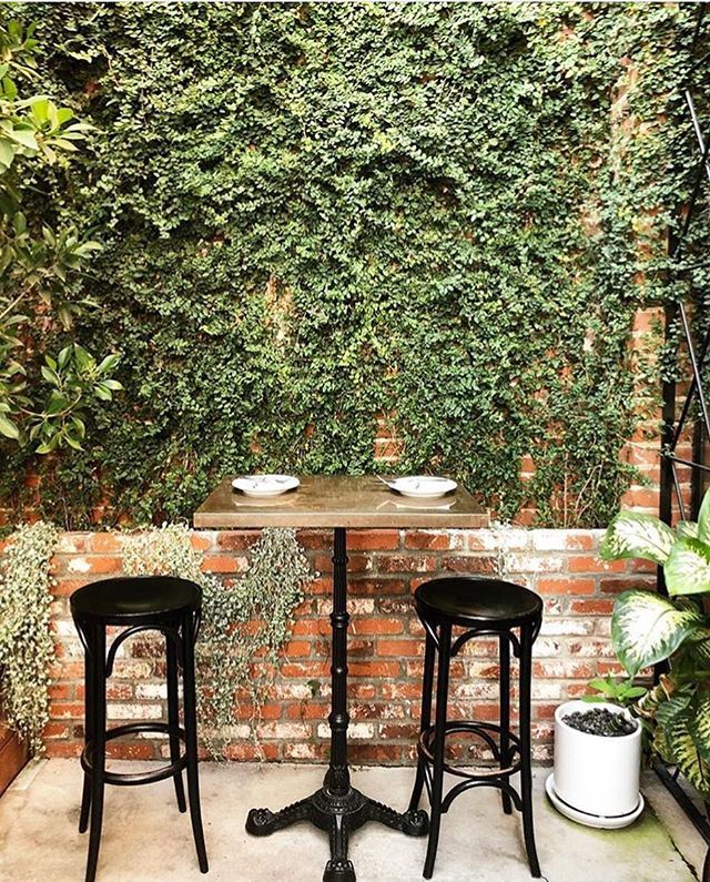 We love our patio plants, don’t you? 🌱 #cafebirdie #highlandpark #figueroa 📷: @meganconverse ift.tt/2sNdh4e