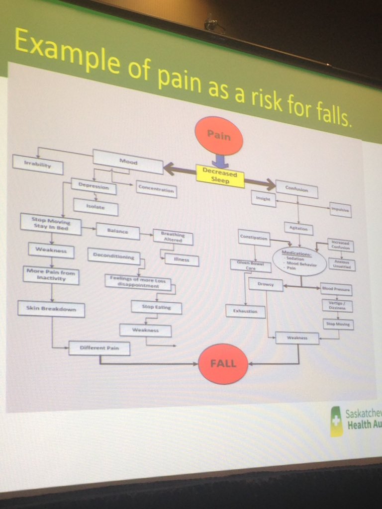 PreventionFall's tweet photo. Pain as a risk for falls - from speaker Daphne Kemp (Saskatchewan Health Authority) #FallsPrevention2018 https://t.co/pcPvbQkwdm