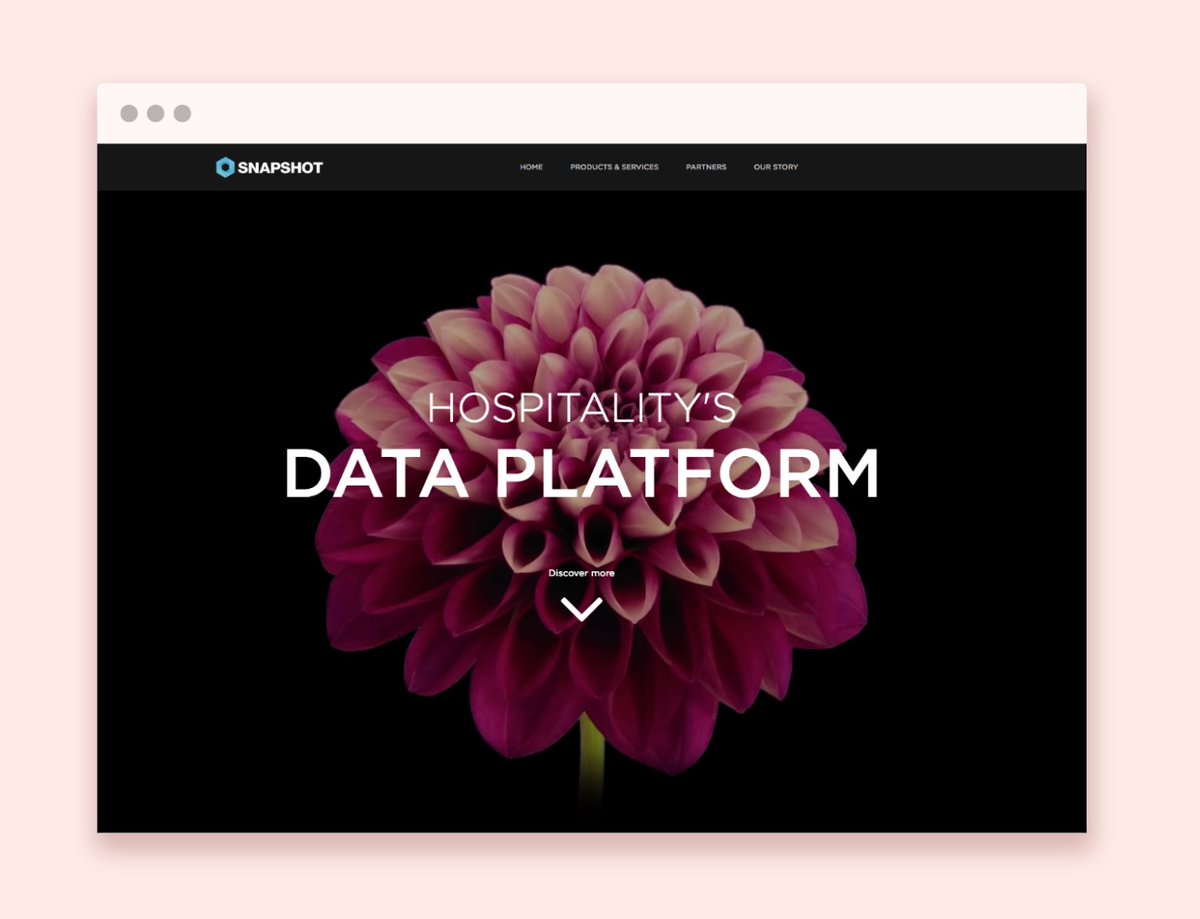 SnapShot tweet media