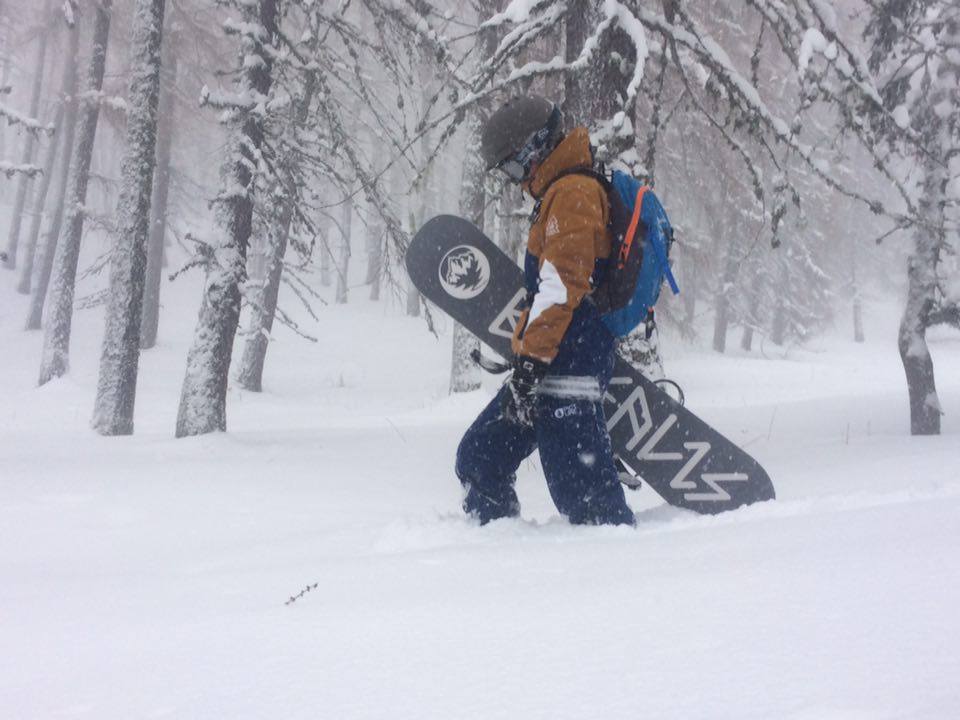 BorealisBoards's tweet photo. https://t.co/OdAJo47AWi