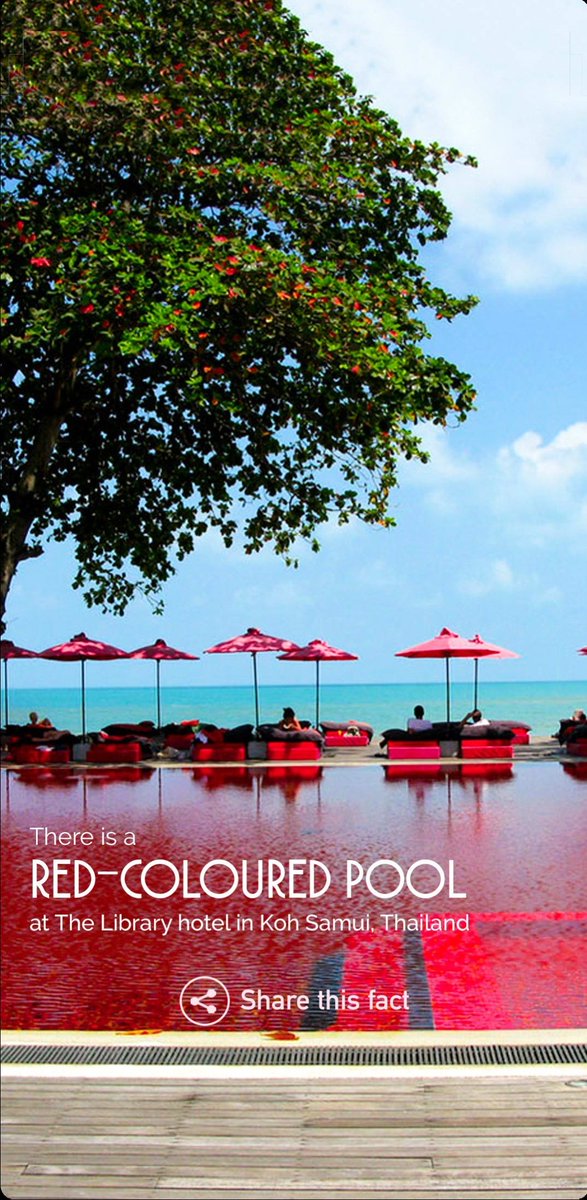 _PremYadav_'s tweet photo. There is #RED_COLOURED POOL at the Library hotel in #KohSamui , Thailand.
#ClickImage👇
#Fact https://t.co/wp4zaNTRya