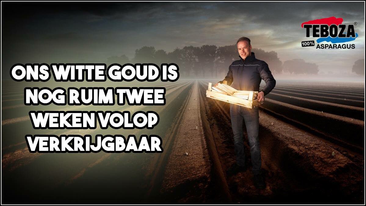 tebozAsperge's tweet photo. Het einde van het aspergeseizoen nadert helaas..

Nóg een extra reden om de laatste weken van ons heerlijke witte goud te genieten! https://t.co/v8oQdANIZN