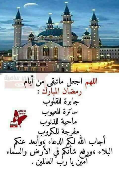 salah kaaki (@salah_kaaki1) on Twitter photo 