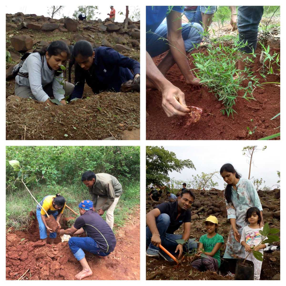 KPIT's tweet photo. #CSRAtKPIT | Over the weekend, in a culminating event for the #EnvironmentWeek, employees planted 450 saplings across two venues of #Bengaluru and #Pune. #WorldEnvironmentDay https://t.co/rIFlCl4E7g