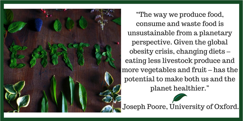 enviroanth's tweet photo. Healthy food is also healthy for our planet: time to change our consumption habits; small steps everyone can take
#reduce #reuse #recycle #green #Sustainable #eco #environment #nature #vegan #plantbased #MeatFreeMonday https://t.co/nHYklFYJnl