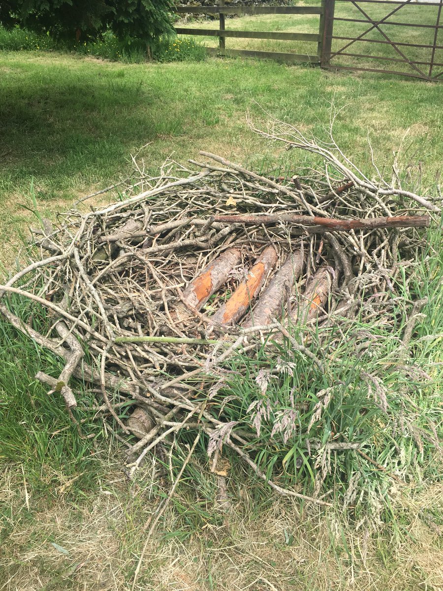 EdScotSciences's tweet photo. Real life size osprey nest at NTS Threave nature reserve! #RAISEScot #STEMScot https://t.co/Hev6r9eycl