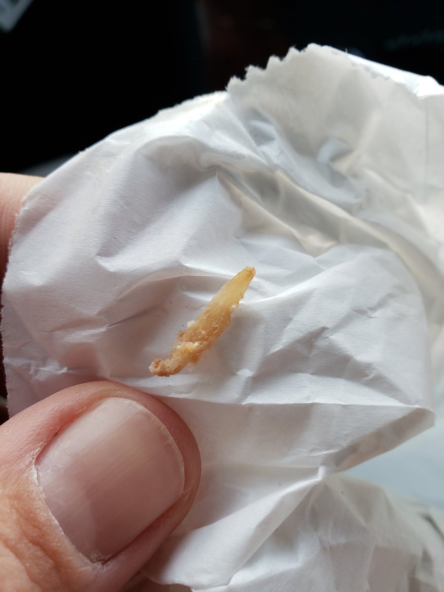 NateAholt's tweet photo. Hey @Starbucks ....just wanted you to be aware of a "bone like" item I found in my sandwich I purchased from you this morning.... https://t.co/A3aQglWqFX