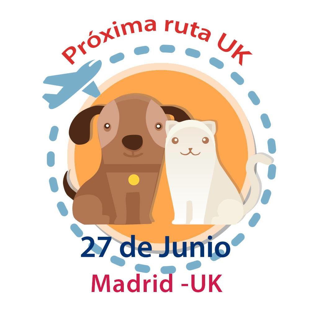 Traveldog Spain (@traveldogspain) on Twitter photo 