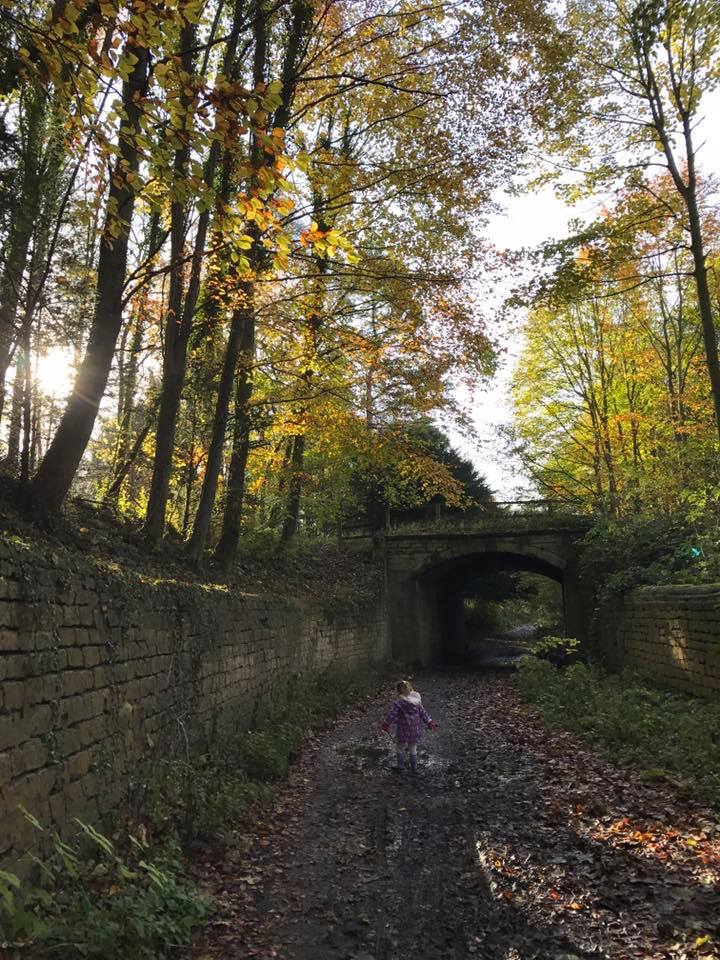 AdrienneLSykes's tweet photo. Fantastic News. A further 7 buildings and structures on #Parlington Estate have now been listed by @HistoricEngland. 7 more reasons to remove Parlington from #LeedsSAP and preserve this amazing Green Belt for future generations. #Brownfieldfirst #properplanningoverprofit https://t.co/n6pCpqFNXK