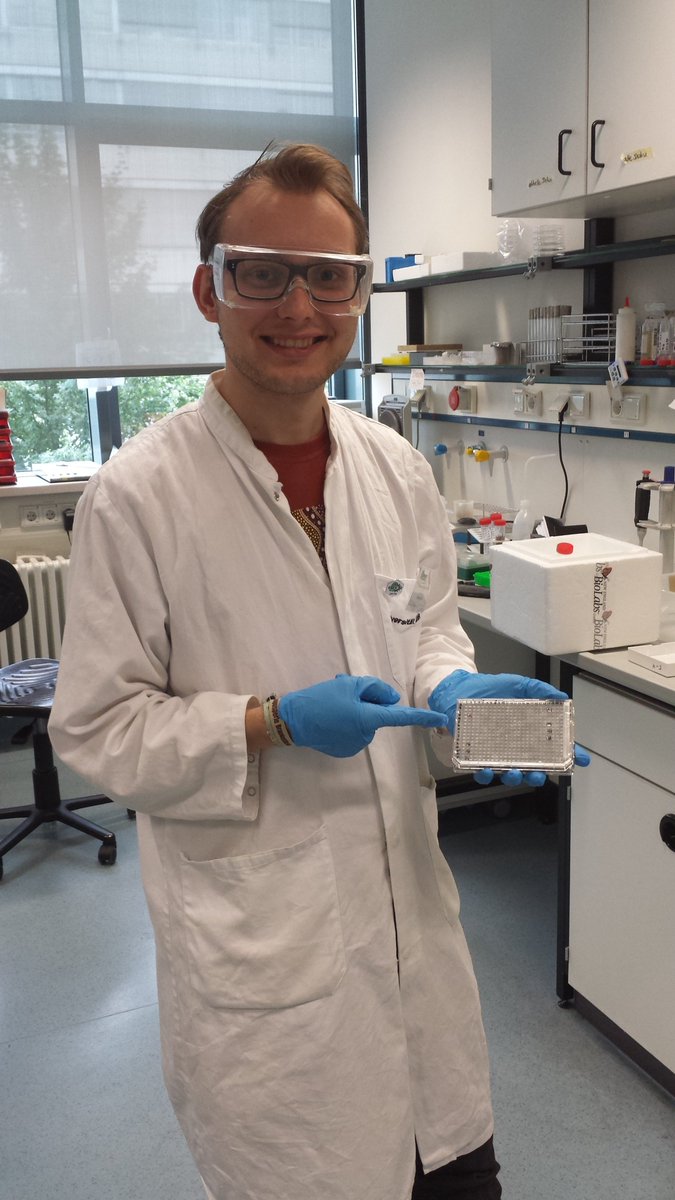iGEM_Bielefeld's tweet photo. How's your #interlabstudy going? We got our plates and transformed the DNA already.
@iGEM #iGEM2018 https://t.co/SLUD8U4O3v