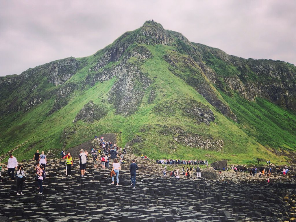 Pitt SHRS tweet media