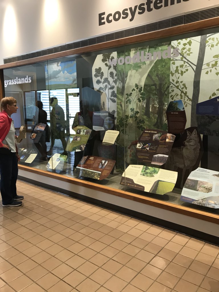 BethAHinshaw's tweet photo. I enjoyed learning about geology, hydrology and conservation practices @RockSprings4H Center at Sundayβs Friends of 4H Day. Great new displays about the Prairie Ecosystem too. #learnsomethingneweveryday https://t.co/1uIv88dF7v