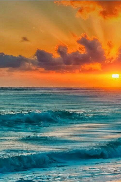 landijo07's tweet photo. Le soleil se lève, la Journée s’avère brillante et prometteuse...
#beausoleil #merbleu #cieldoré https://t.co/fNDPoZczZM