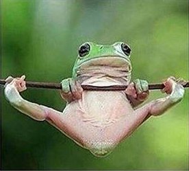 aj100kblog's tweet photo. Starting a new blog may feel weird - but this makes it easy. Start now. https://t.co/BvoBDvEFky #newbie #start https://t.co/eY2LwSP3pK
