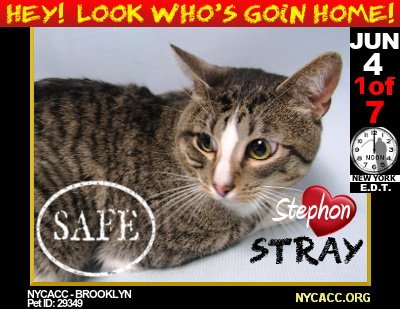 MIPooh's tweet photo. The Power of Peeps...

When Pet LuvRs RoaRR On #Twitter
              Homeless #Pets Get Noticed

Hey! Look Who's Goin Home...
      Rescued From #NYCACC #NYC

Visit Your Local Animal Shelter
#Foster #Adopt #Dogs n #Cats
      Some1 Will Luv U4 It https://t.co/dUQ6vGQmcl