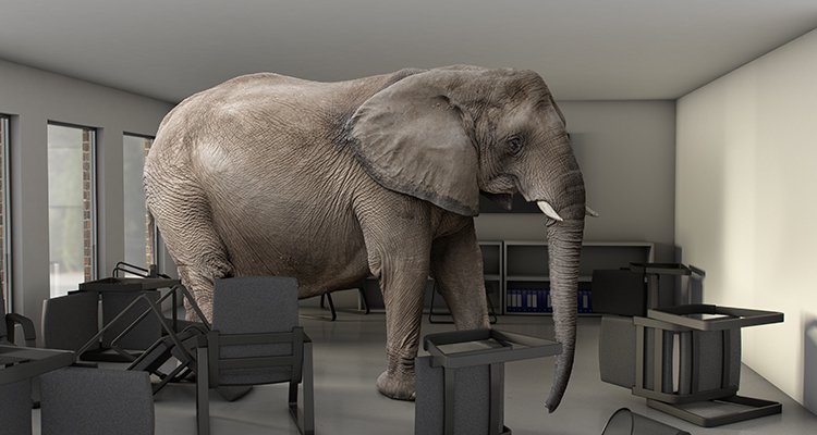 IESEInsight's tweet photo. Can elephants learn to dance? Can large organizations learn to be agile? New whitepaper available: https://t.co/IRYPDWb2aM https://t.co/hWX9TUZB0t